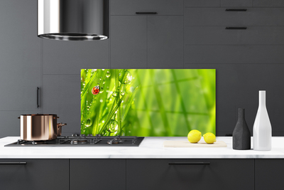 Painel cozinha Joaninha Natureza Grama