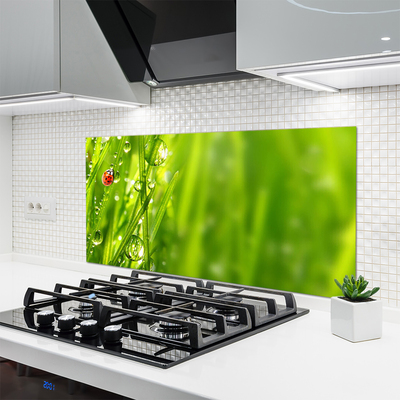 Painel cozinha Joaninha Natureza Grama