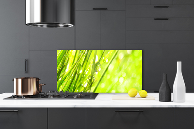 Painel vidro cozinha A natureza deixa cair a grama