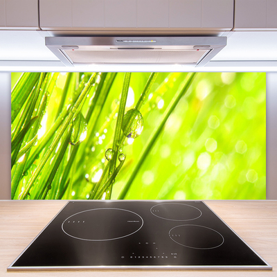 Painel vidro cozinha A natureza deixa cair a grama