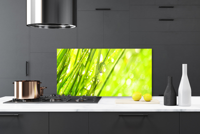 Painel vidro cozinha A natureza deixa cair a grama