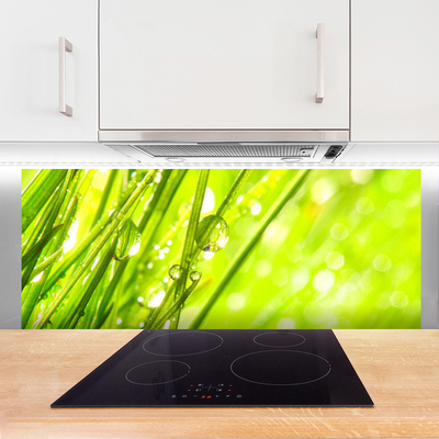 Painel vidro cozinha A natureza deixa cair a grama