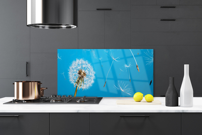 Painel cozinha Flores de dente-de-leão Natureza