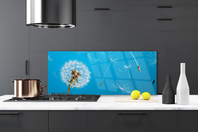 Painel cozinha Flores de dente-de-leão Natureza
