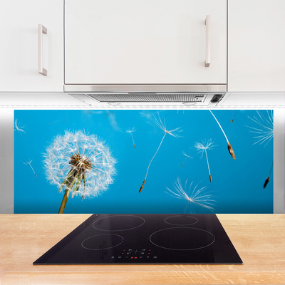 Painel cozinha Flores de dente-de-leão Natureza