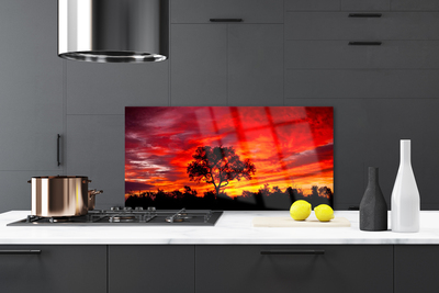 Painel cozinha Paisagem Florestal Natureza