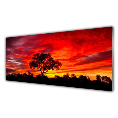 Painel cozinha Paisagem Florestal Natureza