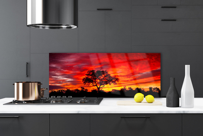 Painel cozinha Paisagem Florestal Natureza