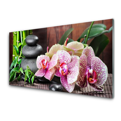 Painel cozinha Bamboo Orchid Spa