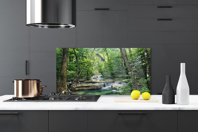Painel vidro cozinha Floresta Floresta Natureza Natureza