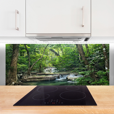 Painel vidro cozinha Floresta Floresta Natureza Natureza