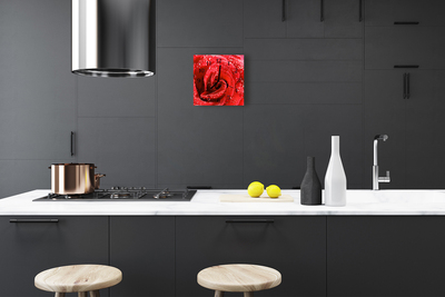 Relógio quadrado Rosa