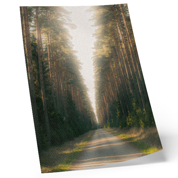 Poster decorativo Uma trilha fabulosa na floresta com árvores altas.
