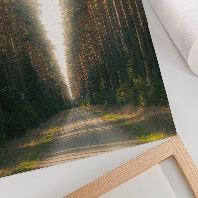 Poster decorativo Uma trilha fabulosa na floresta com árvores altas.