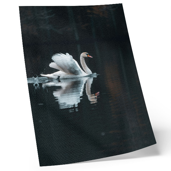 Impressão em tela Cisne na água com reflexo