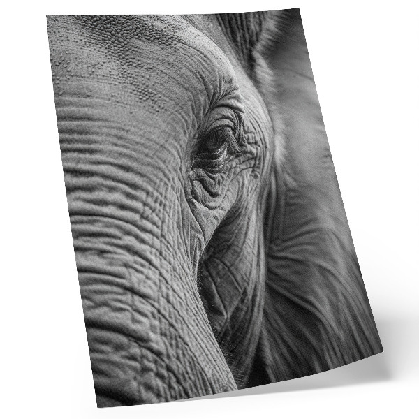 Impressão em tela O olho de um elefante repleto de texturas, harmonia e paz.