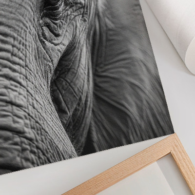 Impressão em tela O olho de um elefante repleto de texturas, harmonia e paz.