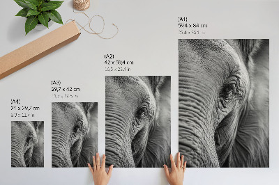 Impressão em tela O olho de um elefante repleto de texturas, harmonia e paz.