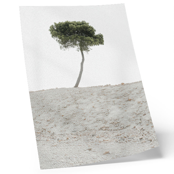Impressão em tela Árvore solitária em fundo claro, minimalismo