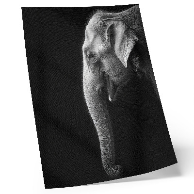 Poster decorativo Retrato monocromático de um elefante de perfil.