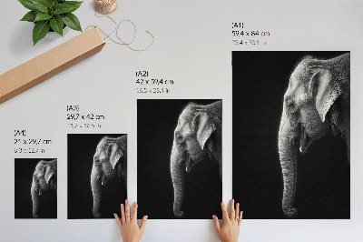 Poster decorativo Retrato monocromático de um elefante de perfil.