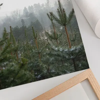Arte de parede pinheiros verdes na neblina com profundidade sutil e atmosfera relaxante