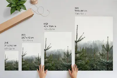 Arte de parede pinheiros verdes na neblina com profundidade sutil e atmosfera relaxante