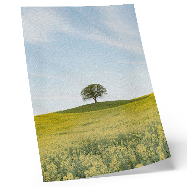Poster para cozinha Uma árvore numa colina em um campo amarelo