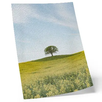 Poster para cozinha uma árvore numa colina em campo amarelo