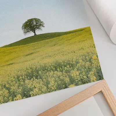 Poster para cozinha uma árvore numa colina em campo amarelo