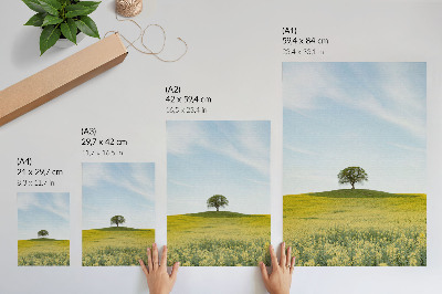 Poster para cozinha Uma árvore numa colina em um campo amarelo