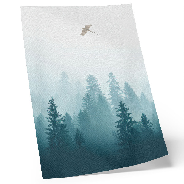 Poster para cozinha Neblina suave, pássaro da floresta, bem acima das árvores