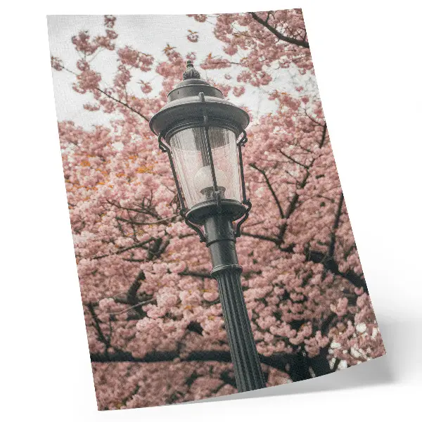Poster decorativo com árvores cor-de-rosa, lanterna preta e atmosfera nostálgica