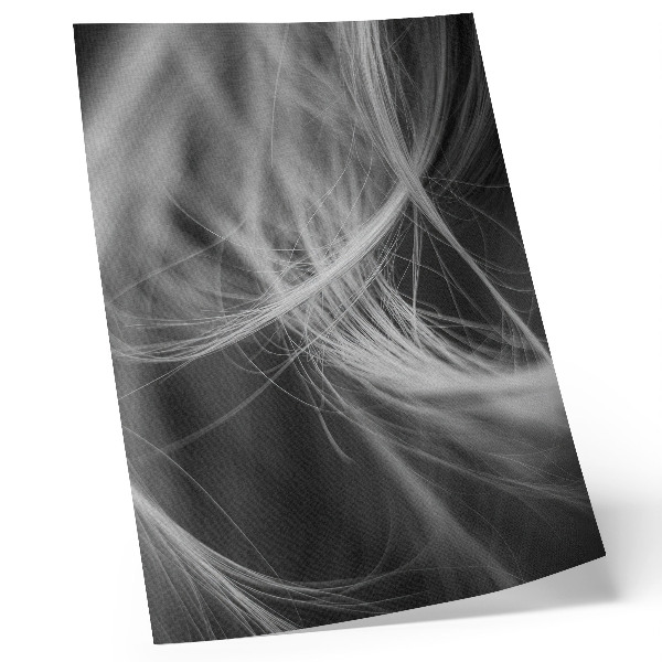 Poster para cozinha Linhas delicadas em estilo abstrato moderno