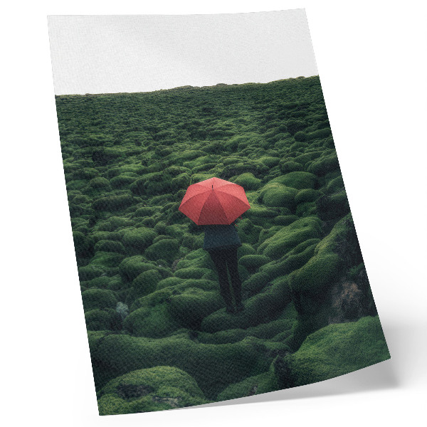 Impressão em tela Predominância de vegetação, paz, aura misteriosa, contraste
