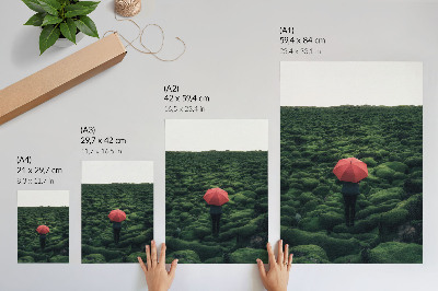 Impressão em tela Predominância de vegetação, paz, aura misteriosa, contraste