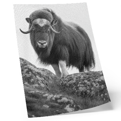 Impressão em tela Elegância animal em preto e branco, natureza crua