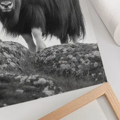 Impressão em tela arte de natureza crua com elegância animal em preto e branco