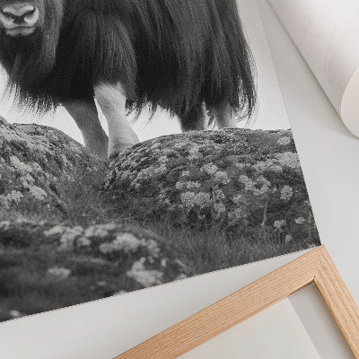 Impressão em tela Elegância animal em preto e branco, natureza crua