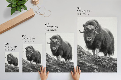 Impressão em tela Elegância animal em preto e branco, natureza crua