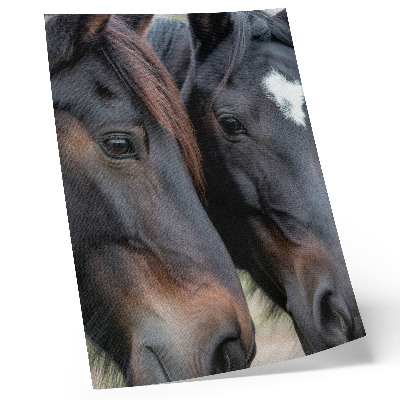 Arte de parede Dois cavalos em contato próximo, cheios de elegância.