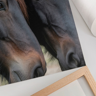 Arte de parede Dois cavalos em contato próximo, cheios de elegância.