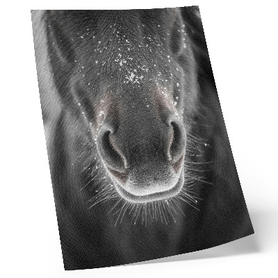 Poster para cozinha Close-up fotorrealista do rosto de um cavalo na neve.