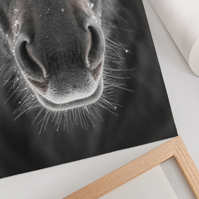 Poster para cozinha Close-up fotorrealista do rosto de um cavalo na neve.