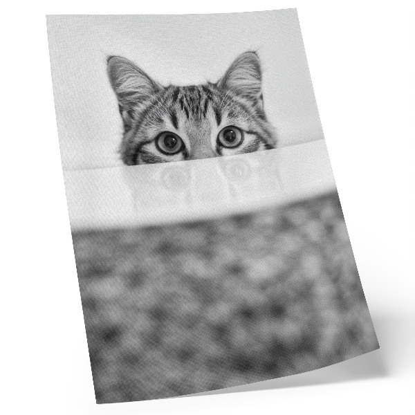 Impressão em tela Gato por trás da superfície, minimalismo em preto e branco