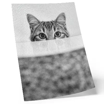 Impressão em tela gato com estilo minimalista em preto e branco por trás da superfície