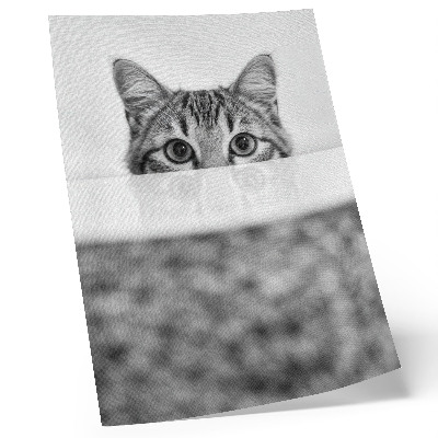 Impressão em tela Gato por trás da superfície, minimalismo em preto e branco