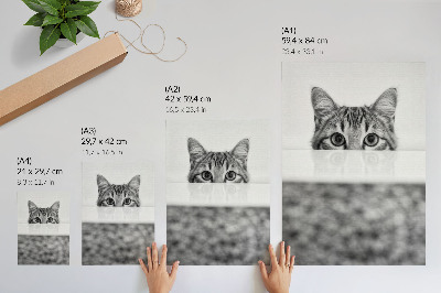Impressão em tela Gato por trás da superfície, minimalismo em preto e branco