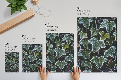Poster para cozinha Folhas verdes com geada branca nas bordas.