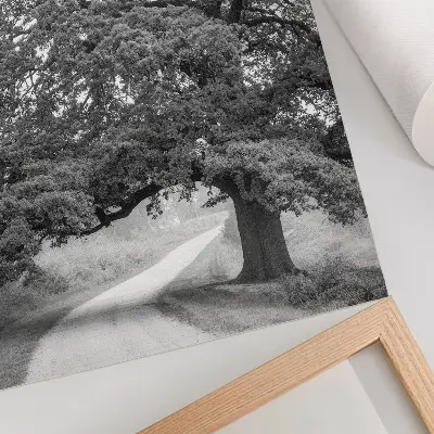 Pôster decorativo árvore monumental com paisagem pacífica